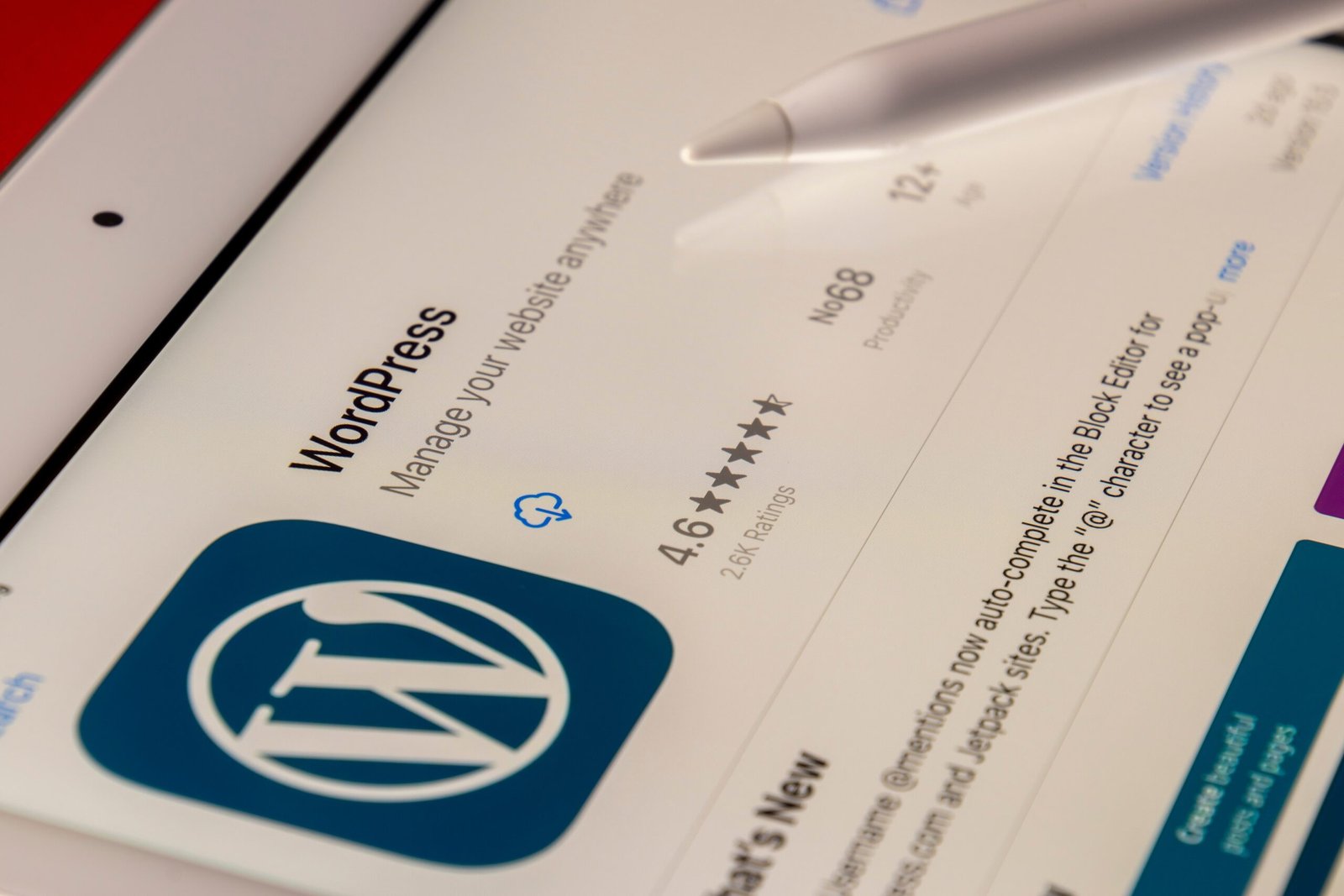 How India Web Creators Can Rank Your WordPress Website on Google's 1st Page